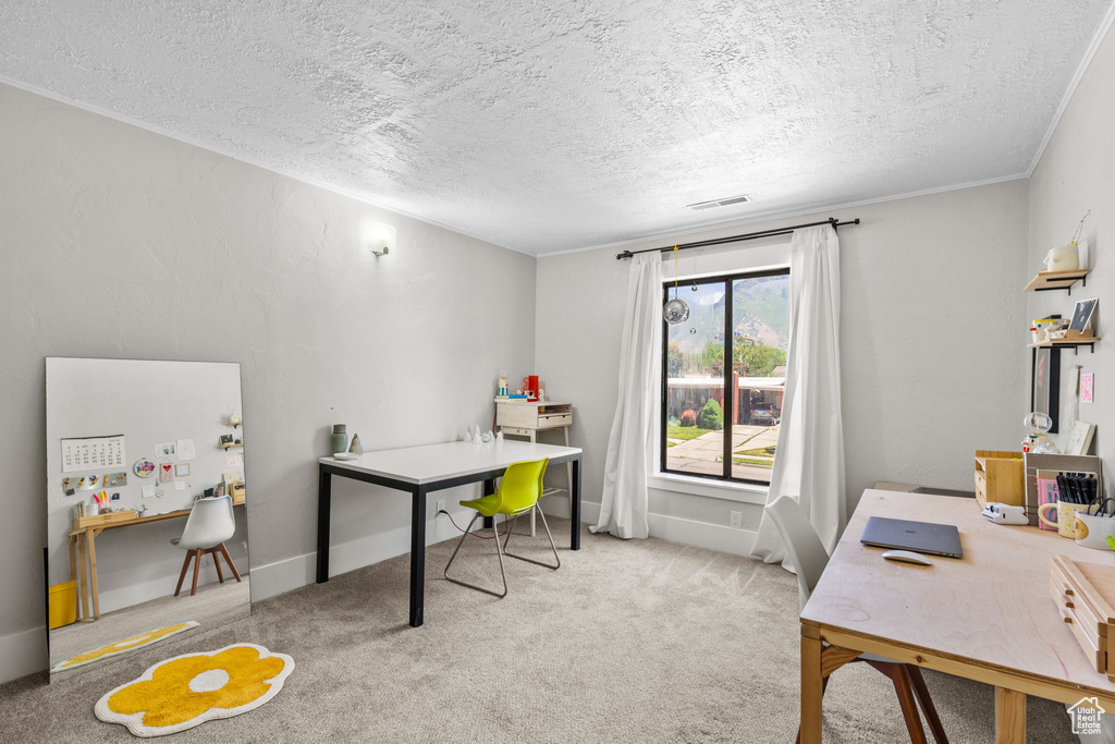 Office area featuring a textured ceiling and carpet flooring