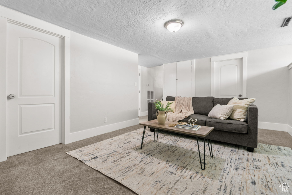 Living room with carpet floors, baseboards, and a textured ceiling
