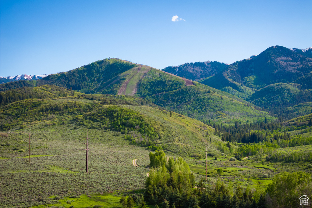 Mountain view