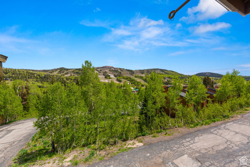 View of mountain background