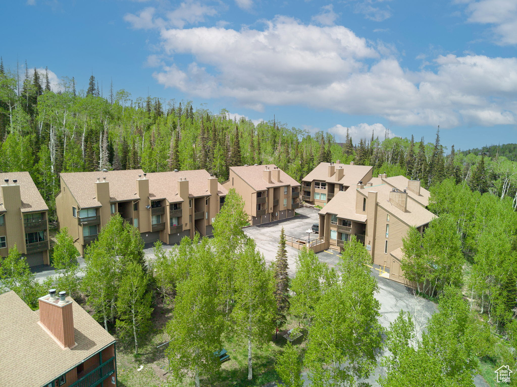 Aerial perspective of suburban area featuring a forest