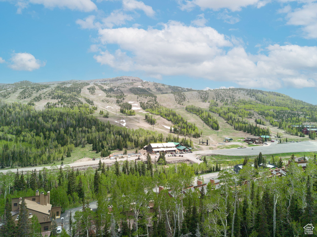 View of mountain backdrop featuring a forest