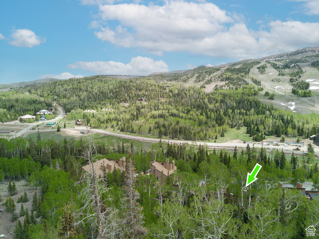 View of mountain backdrop featuring a heavily wooded area