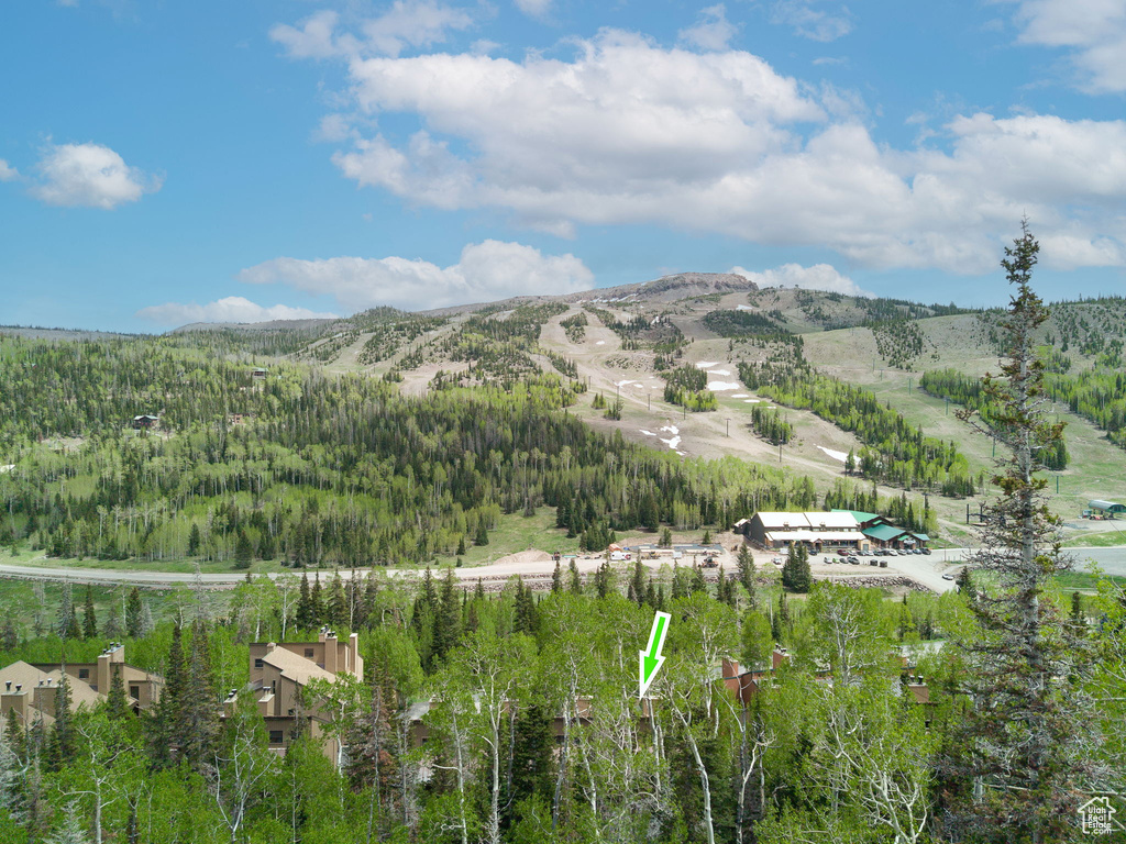 View of mountain backdrop featuring a heavily wooded area