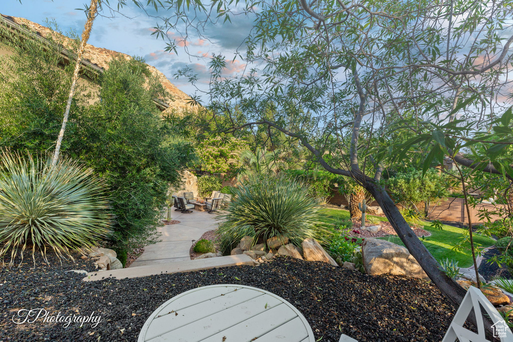 View of yard featuring a patio area