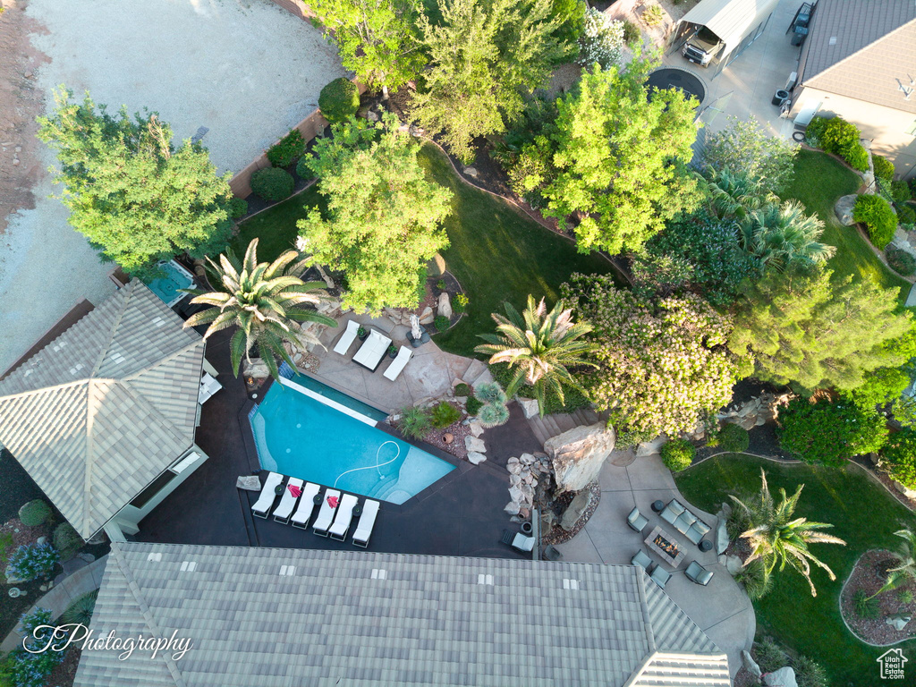 Bird\'s eye view