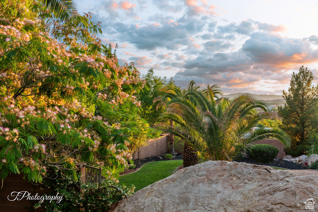 View of patio terrace at dusk