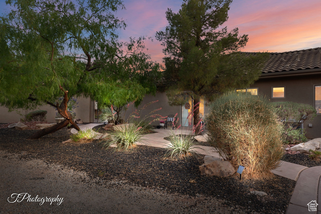 View of yard featuring a patio area