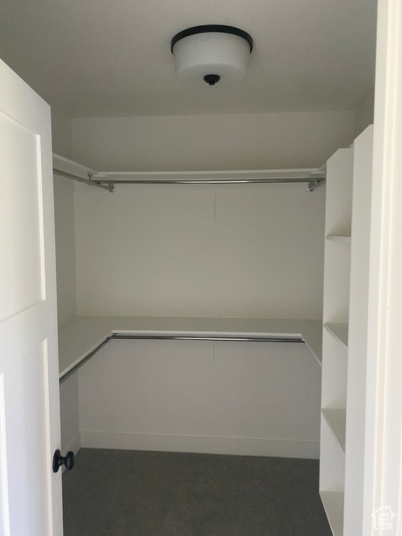 Spacious closet featuring carpet floors