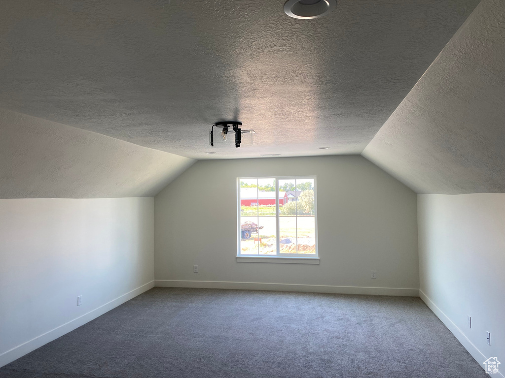 Additional living space with a textured ceiling, vaulted ceiling, baseboards, and carpet