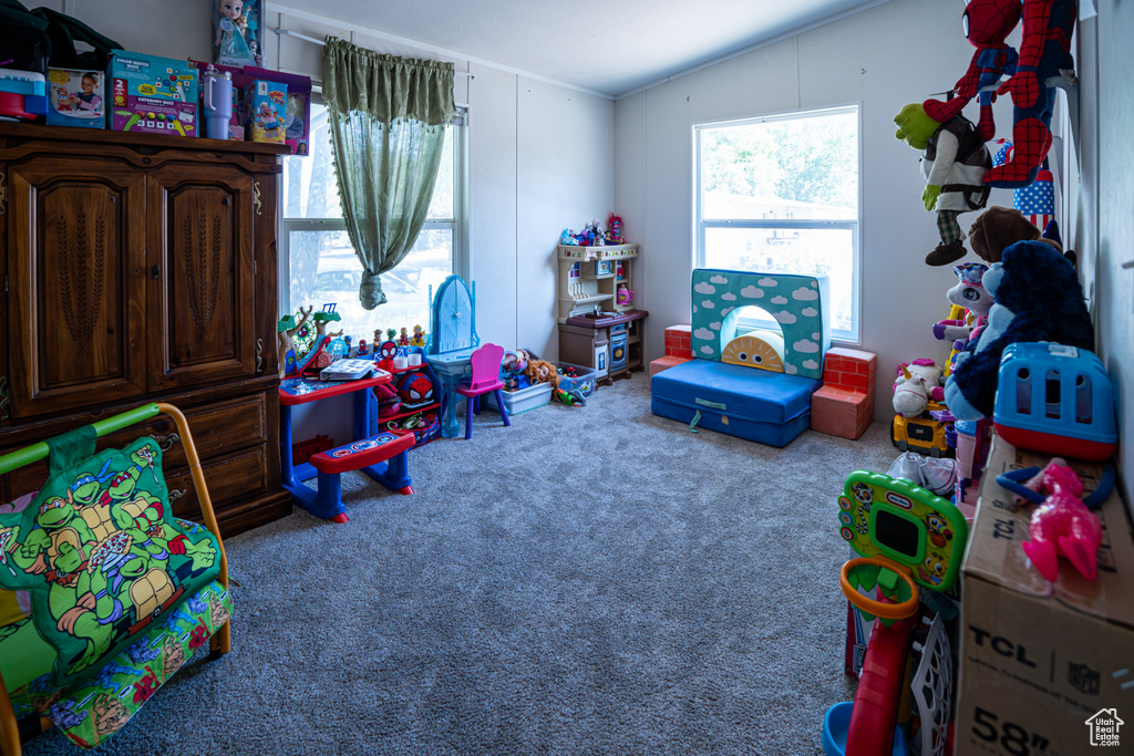 Recreation room with carpet and lofted ceiling