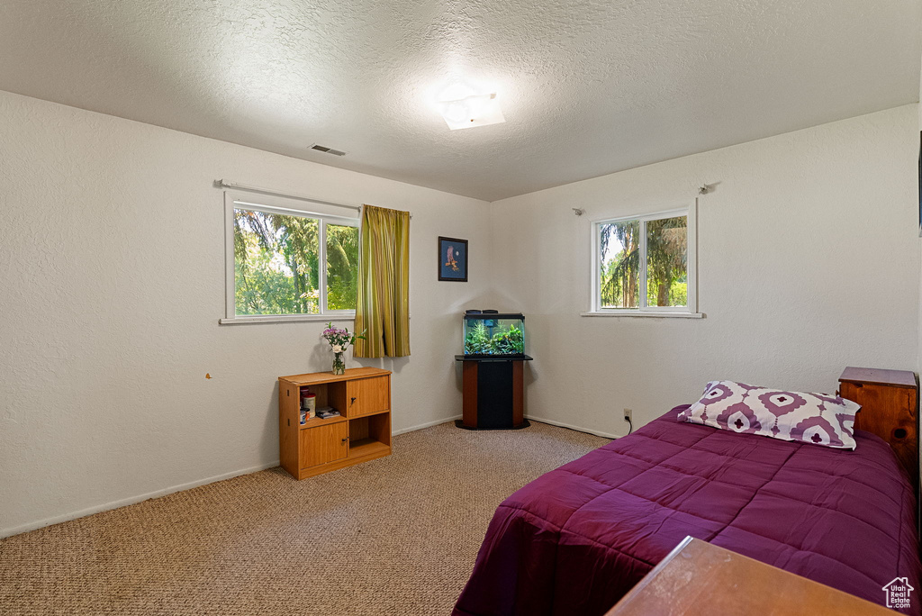 Bedroom with carpet floors, baseboards, and a textured ceiling
