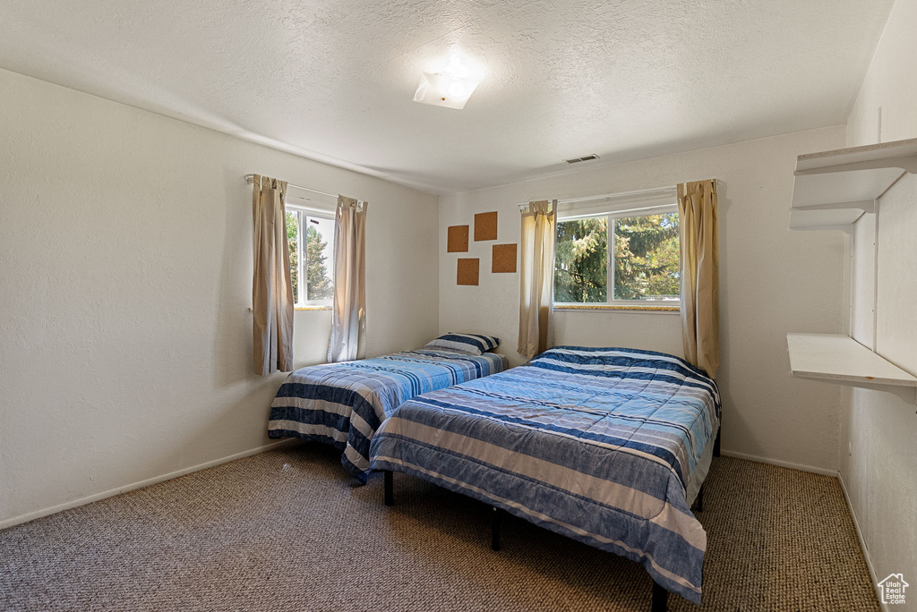 Carpeted bedroom with multiple windows, a textured ceiling, and baseboards