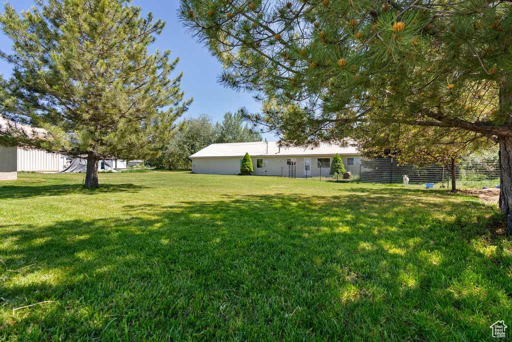 View of grassy yard