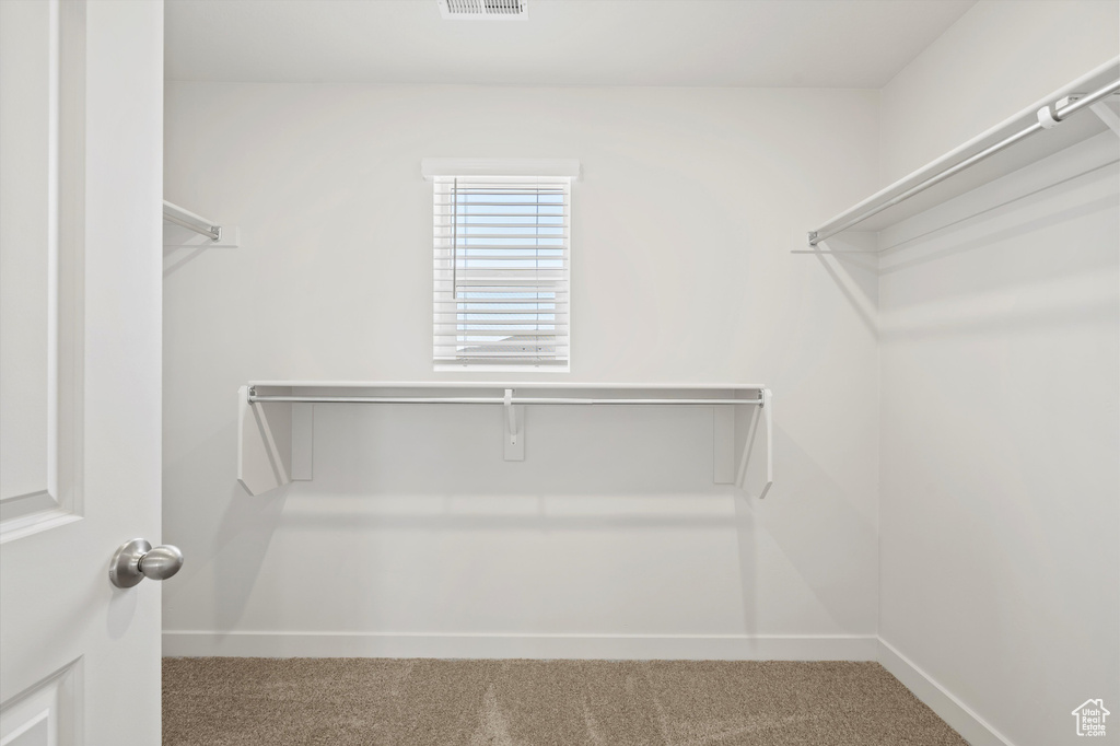 Walk in closet with carpet flooring