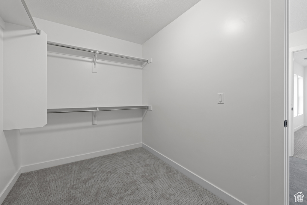 Walk in closet with carpet floors