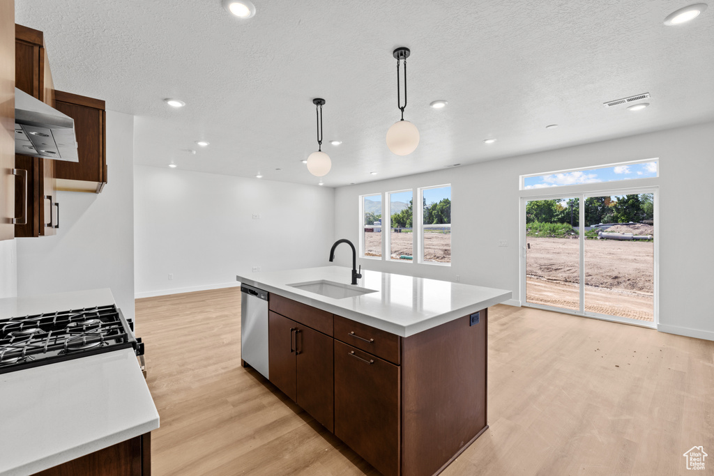 Kitchen featuring a sink, stainless steel dishwasher, light wood-style flooring, light countertops, and dark brown cabinetry