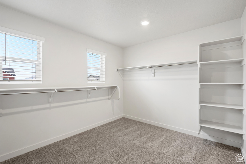 Walk in closet featuring carpet