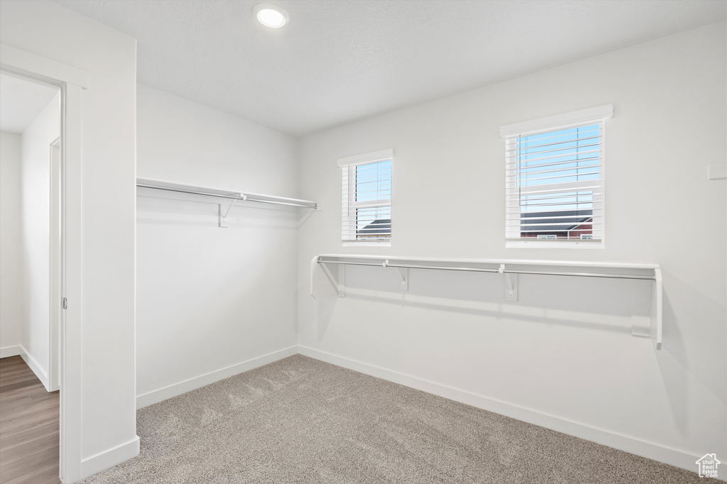 Spacious closet featuring carpet