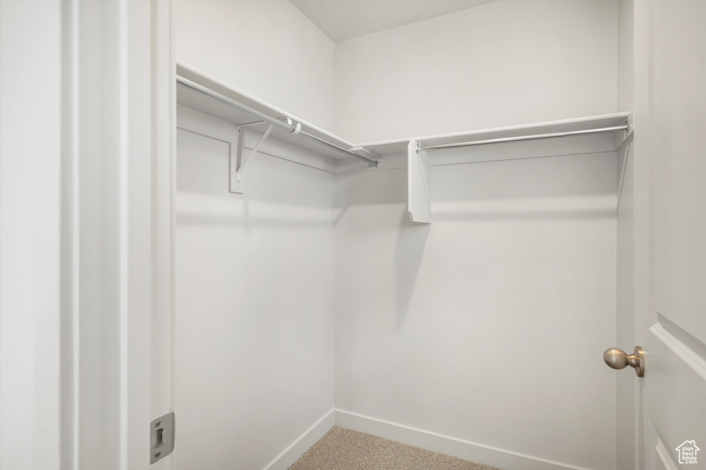 Spacious closet featuring carpet floors
