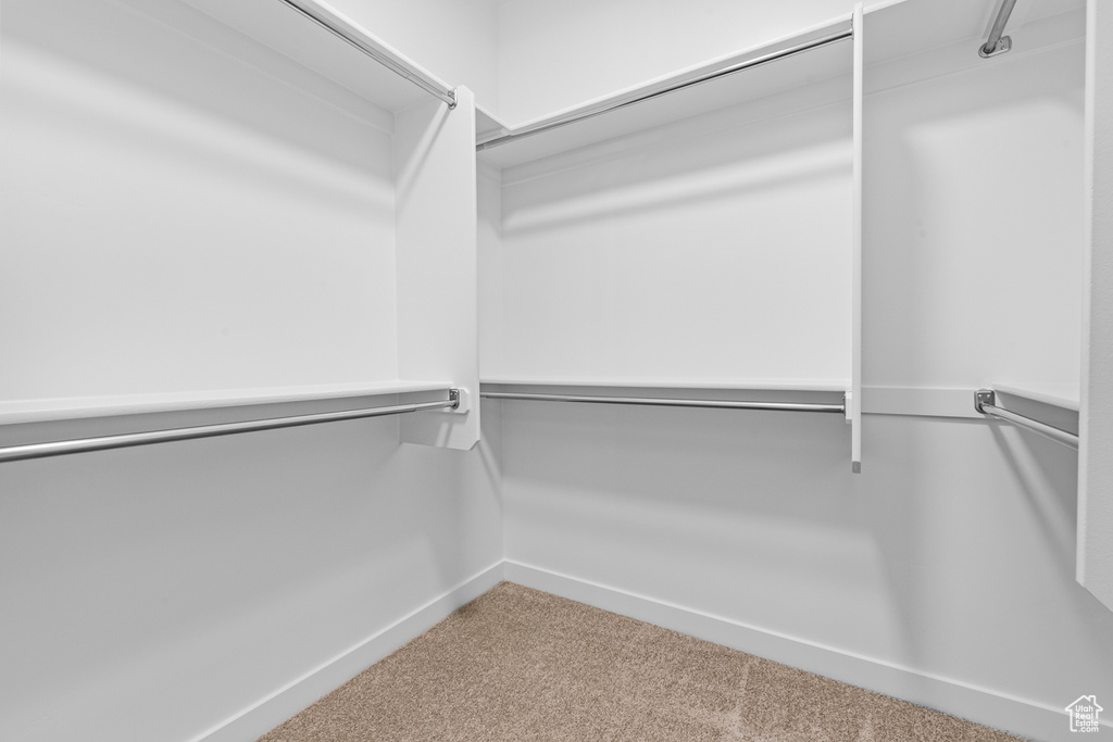 Spacious closet with carpet floors
