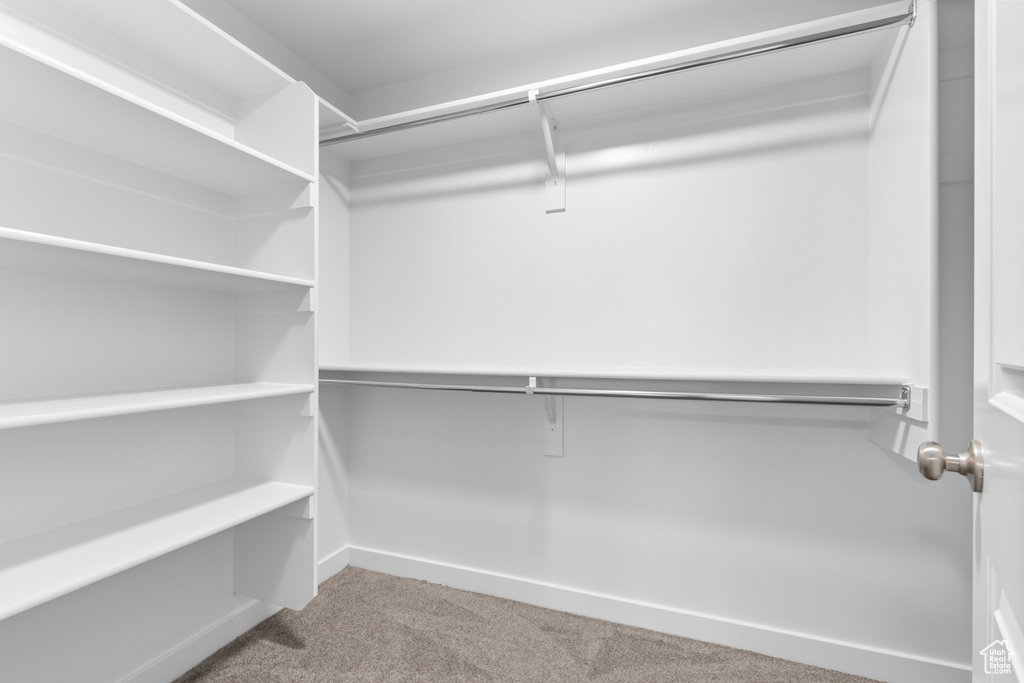 Walk in closet with carpet