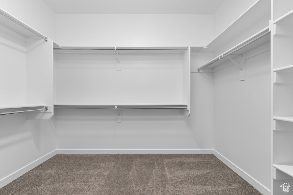Walk in closet with carpet
