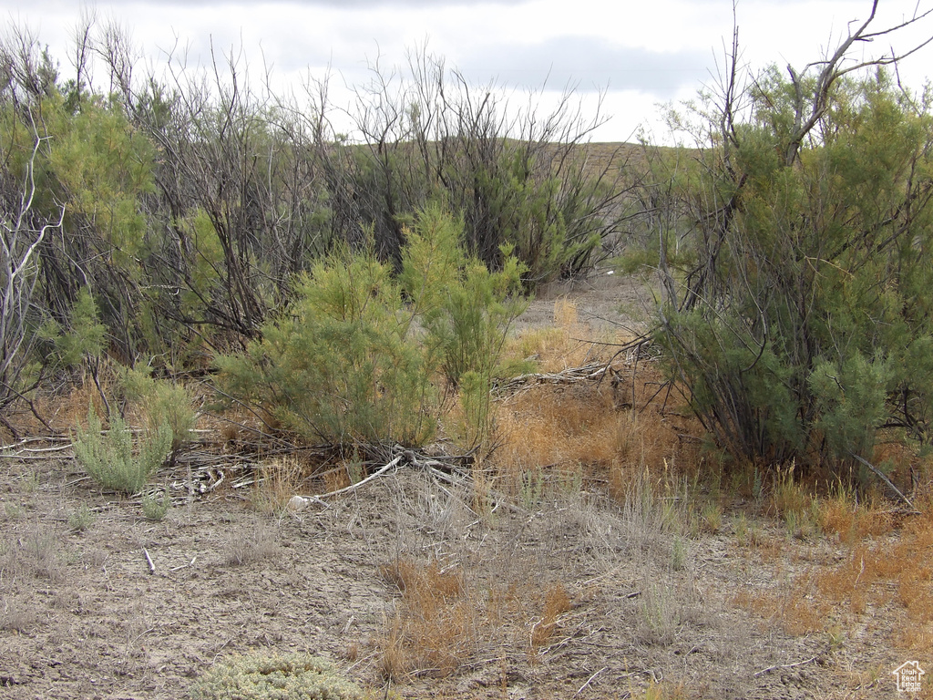 S. HIGHWAY 155 Cleveland, UT 84518