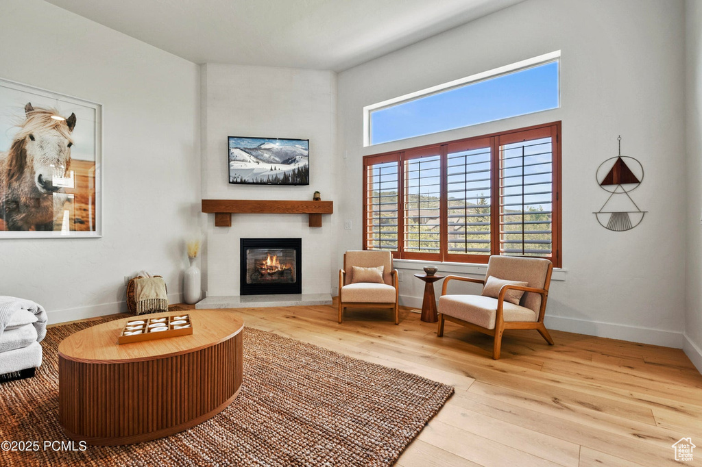 Living area with a fireplace, hardwood / wood-style floors, and baseboards