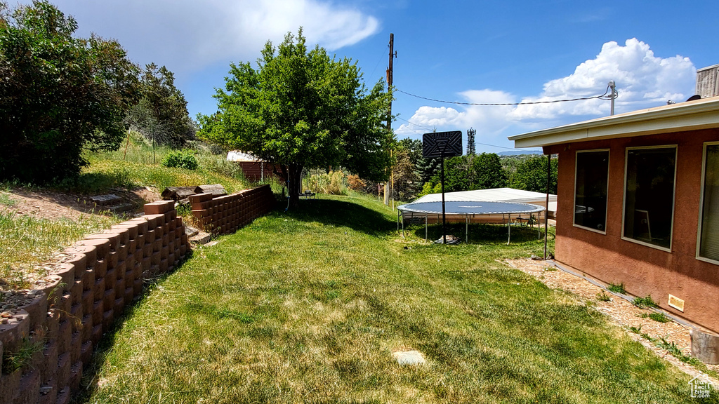 View of green lawn featuring a trampoline
