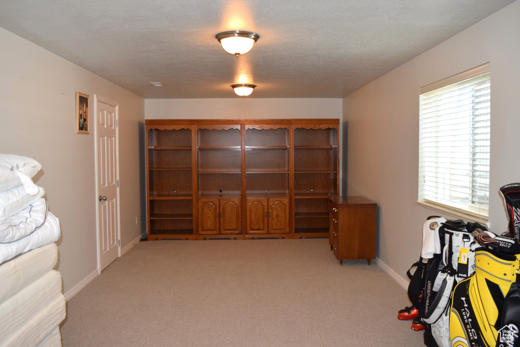Interior space with light carpet and baseboards