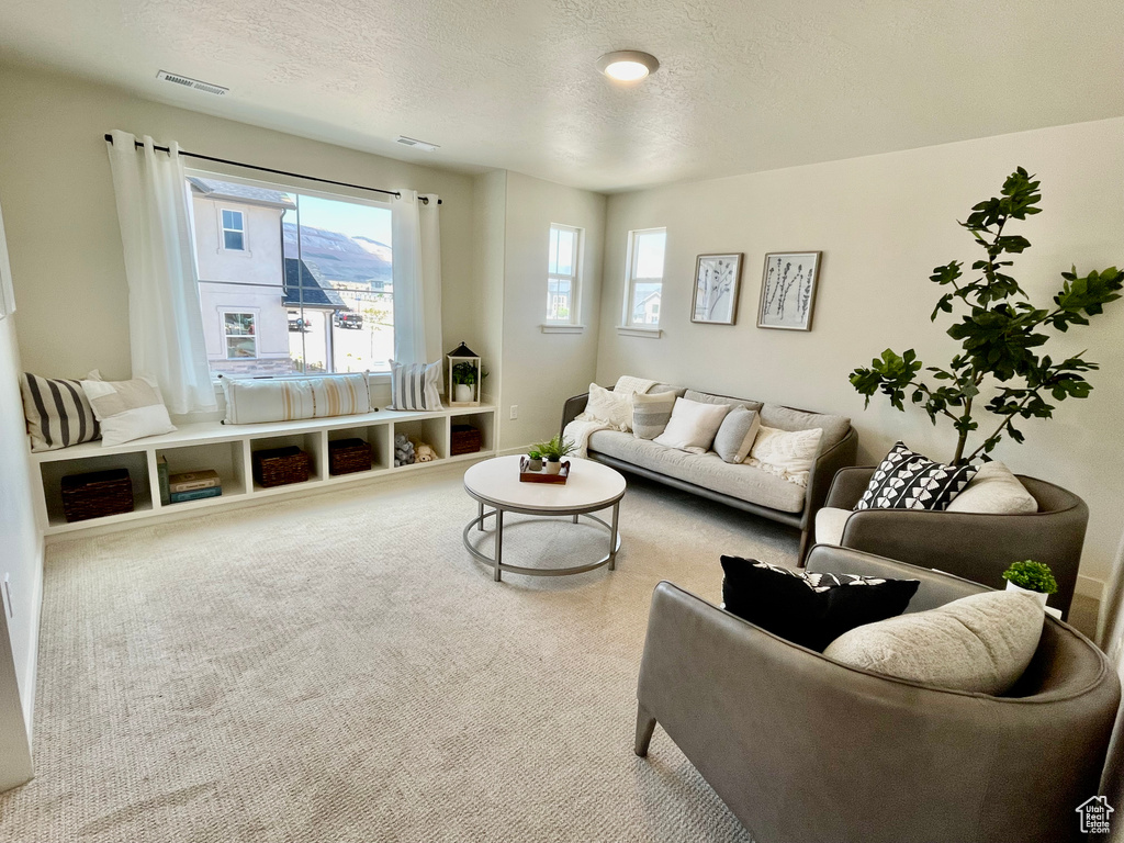 Carpeted living area featuring a textured ceiling