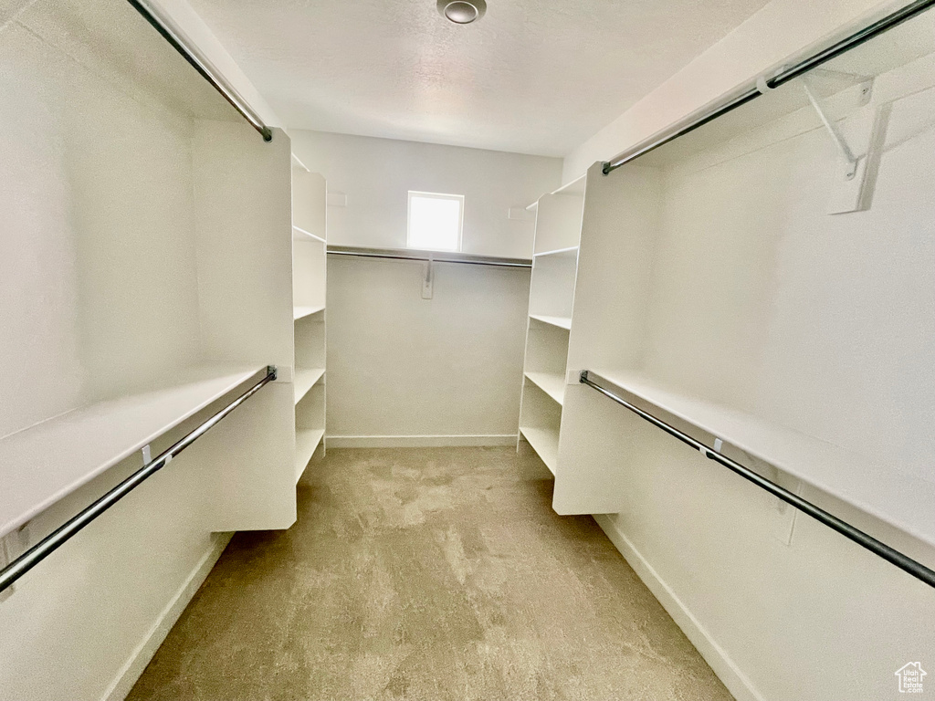 Walk in closet featuring carpet