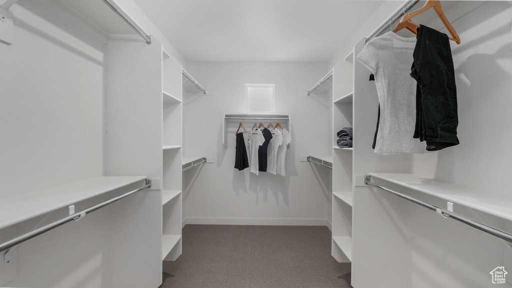 Spacious closet with carpet floors