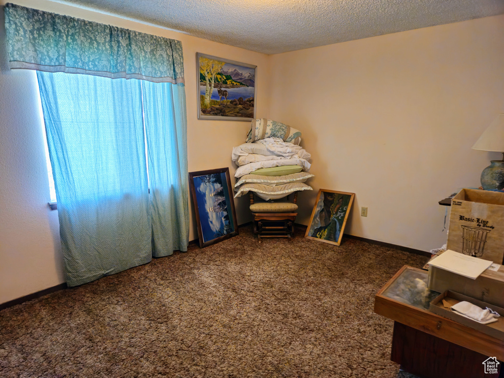 Carpeted bedroom with a textured ceiling