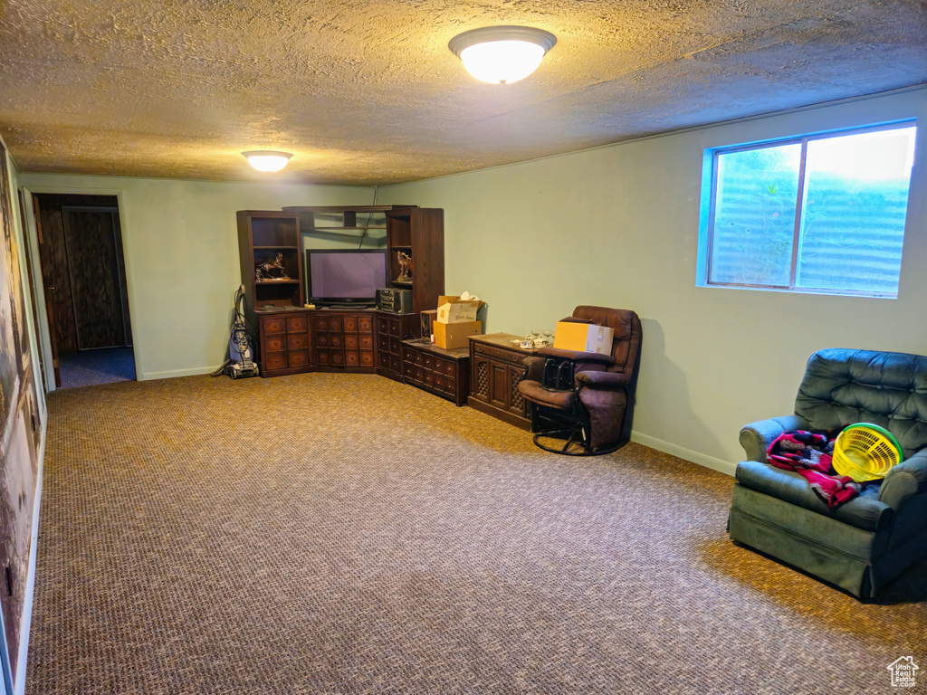 Living area featuring carpet flooring, a textured ceiling, and baseboards