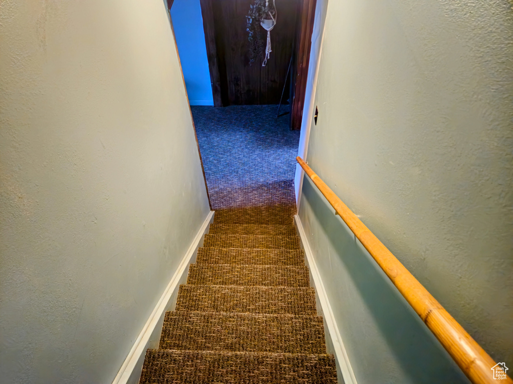 Staircase with carpet