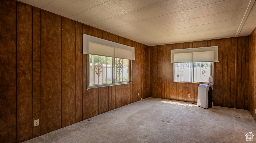 Spare room featuring plenty of natural light, carpet flooring, and wood walls
