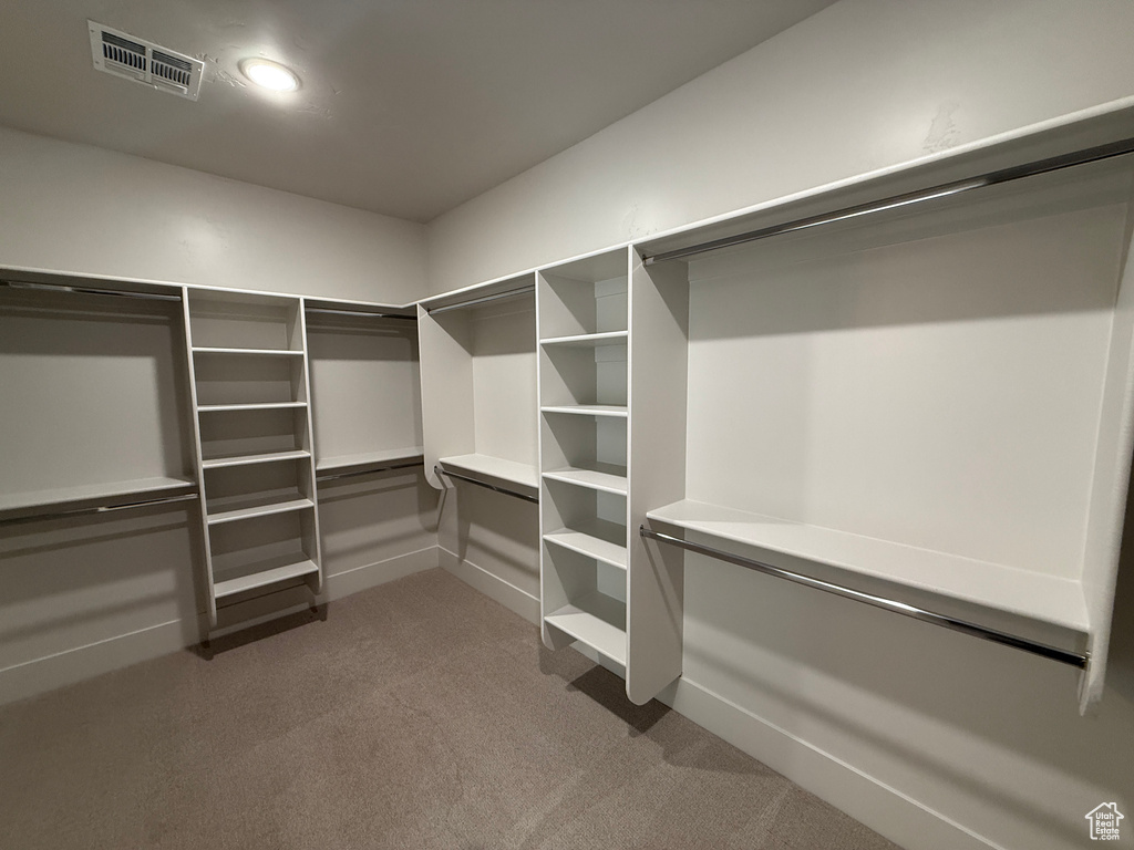 Spacious closet featuring carpet