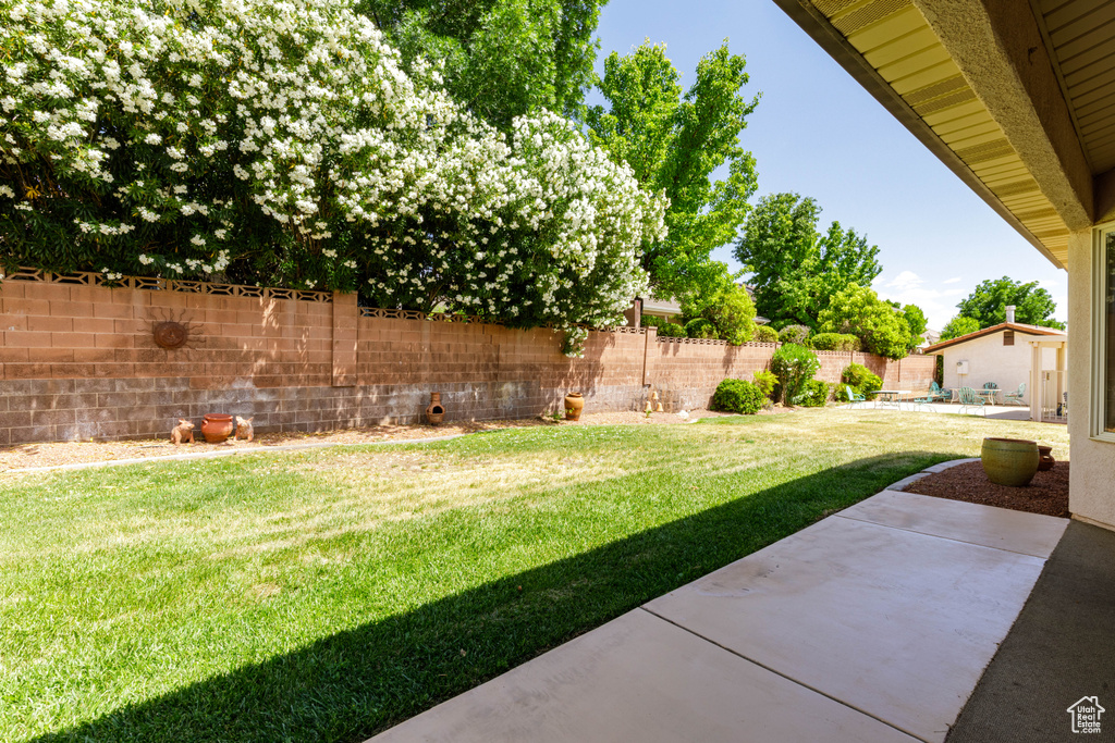 View of yard featuring a patio