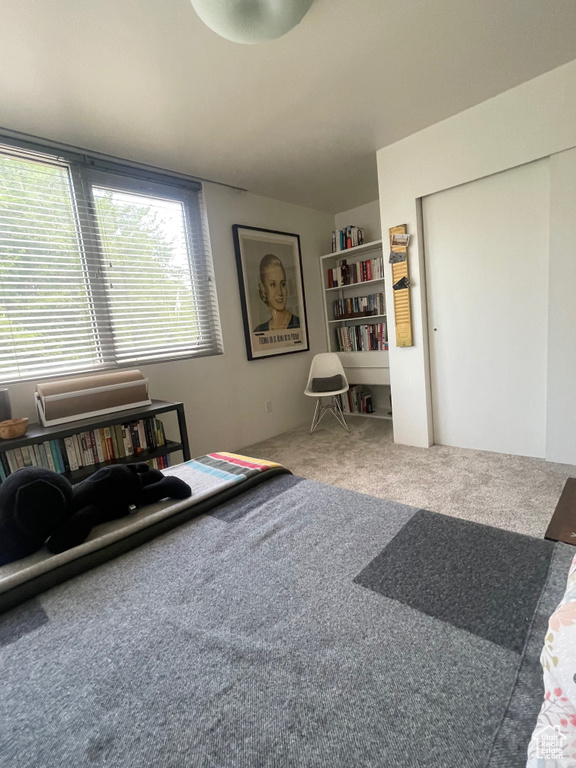 Living area featuring carpet floors