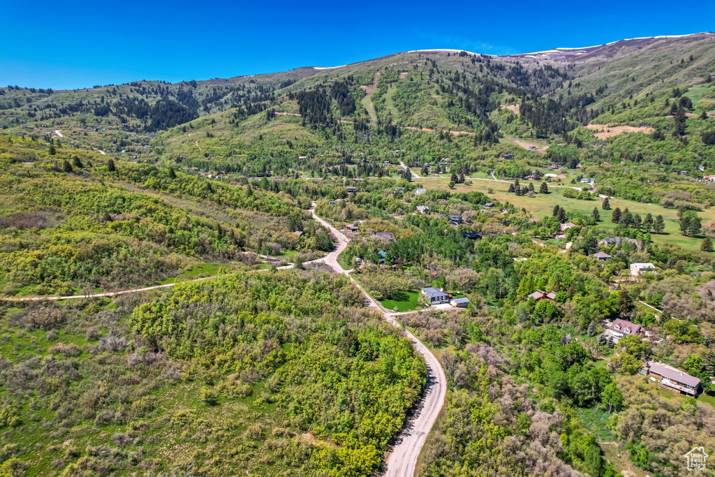 View of mountain background featuring a forest
