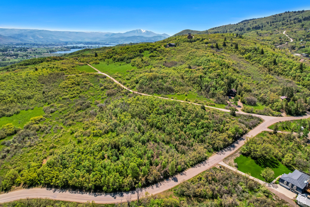 Aerial view of a mountain backdrop and a heavily wooded area
