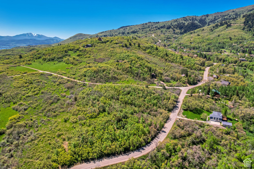 Aerial view of a mountainous background and a heavily wooded area