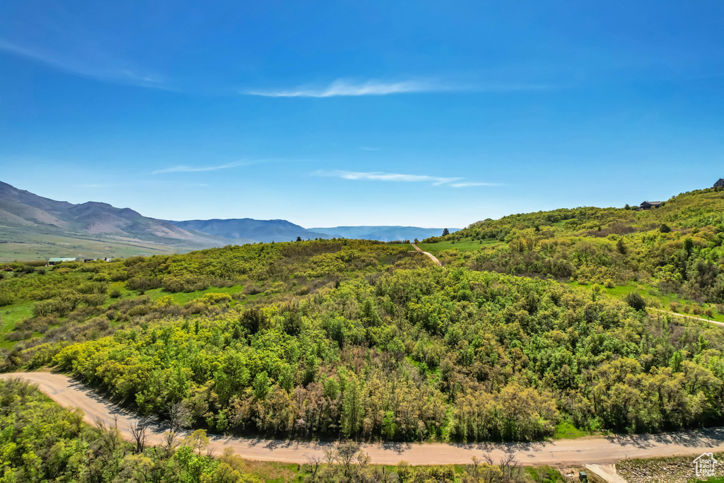View of mountain backdrop featuring a heavily wooded area