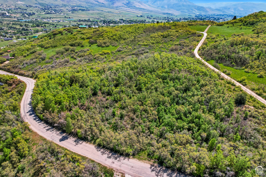 Drone / aerial view of mountains and a heavily wooded area