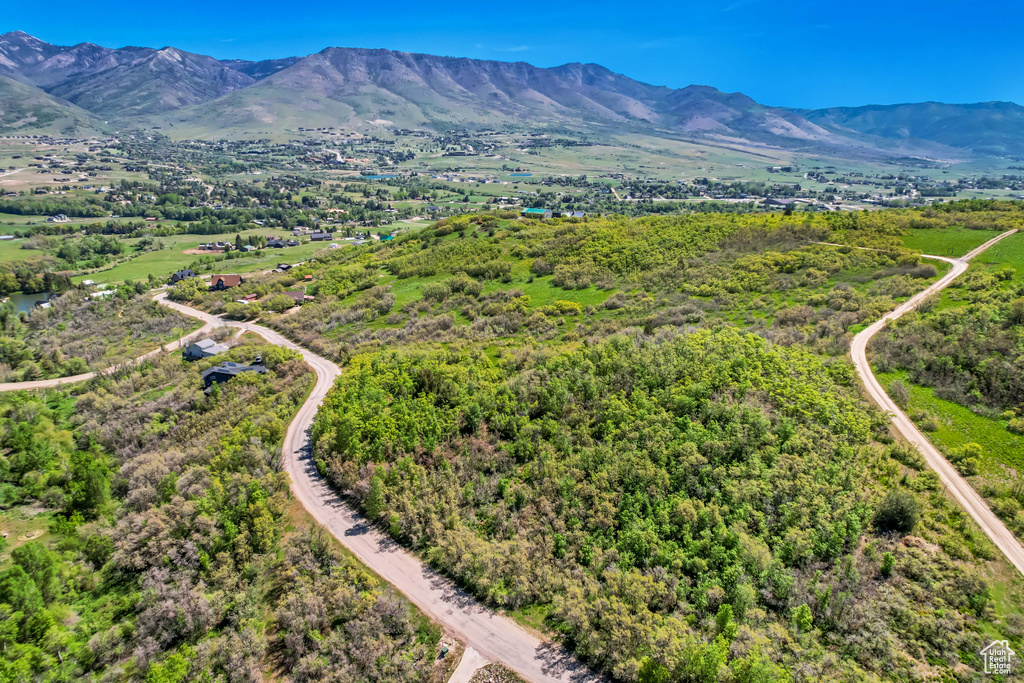 Drone / aerial view of a mountain backdrop