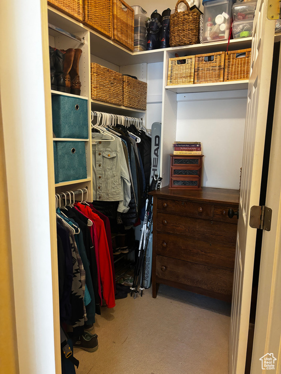 Spacious closet with carpet