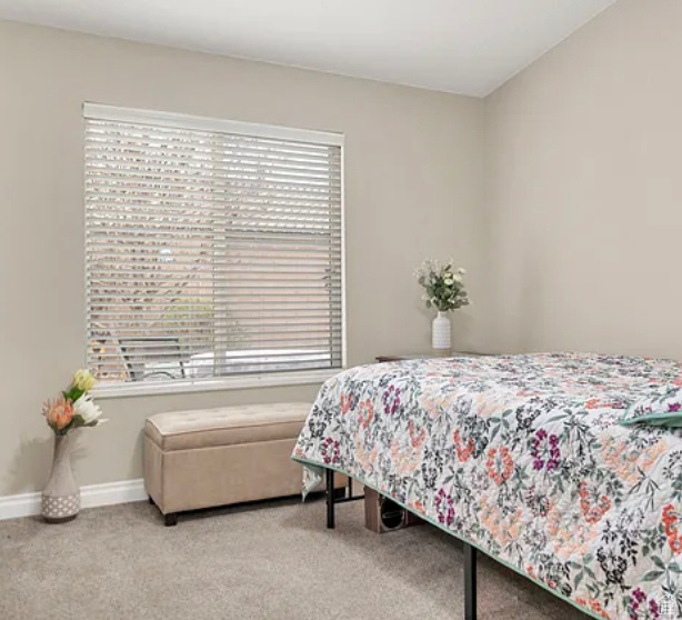 Carpeted bedroom with multiple windows and baseboards