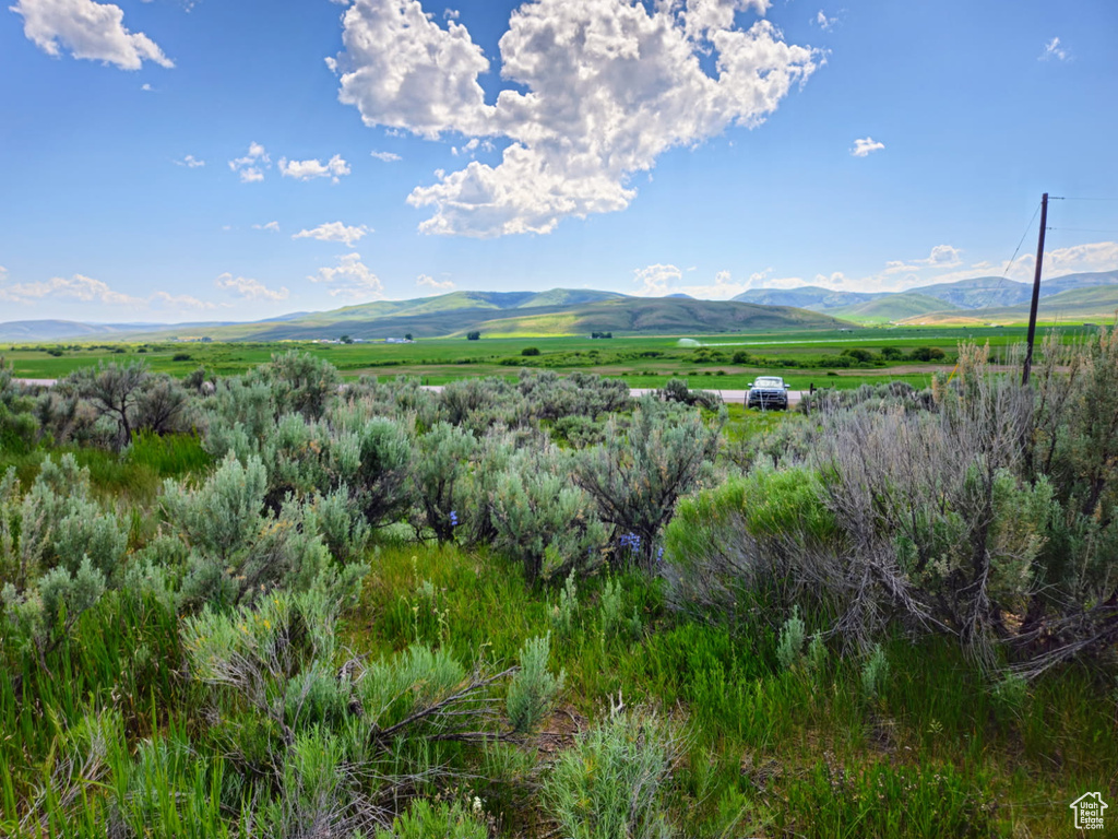 View of mountain background with rural landscape